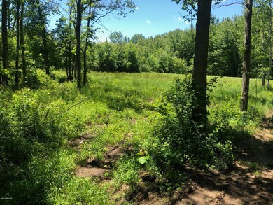 4042 Hidden Meadows, Wayland, MI 49348 - photo 4