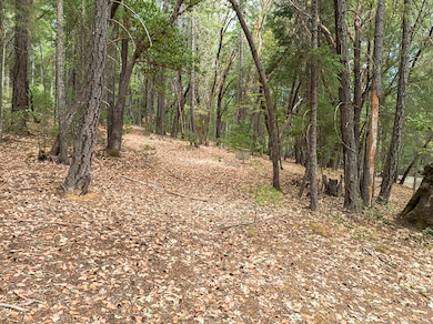 614 Thornbrook Dr, Merlin, OR 97532 - photo 4