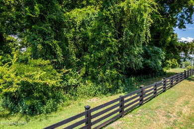 11 Rankin Ferry Loop, Louisville, TN 37777 - photo 4