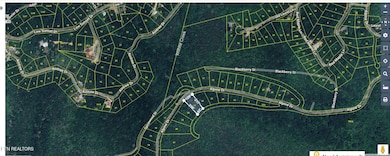 Lot 37/38 Alpine Dr, Sevierville, TN 37876 - photo 5