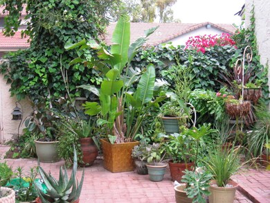patio