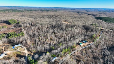 0 Mouse Tail Rd unit 1323770, Parsons, TN 38363 - photo 4