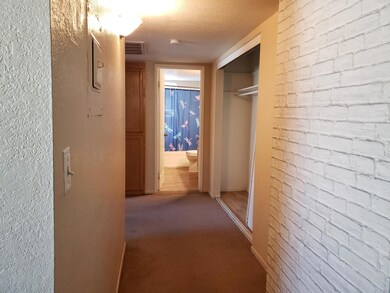 Pic7
