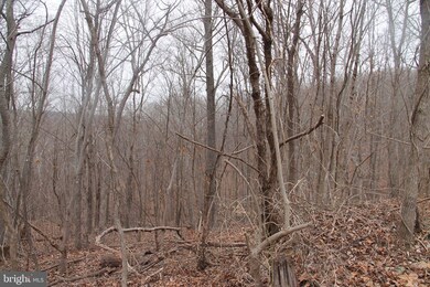 Lot 7 Carters Run Rd, Marshall, VA - photo 2