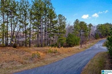 0 Castaway Rd unit Lot 101 1270975, Sylacauga, AL 35151 - photo 6