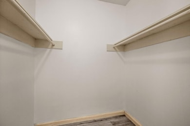 Spacious closet featuring wood finished floors