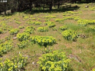 0 Adam Rd unit 18385791, Canyon City, OR 97820 - photo 3