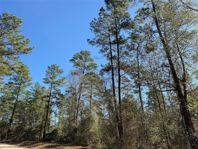 T-7 Eldridge Rd, Cleveland, TX 77328 - photo 6