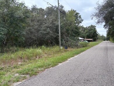 unlisted-address, Ocklawaha, FL 32179 - photo 6