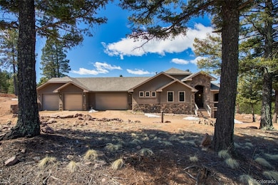 290 N Mountain Estates Rd, Florissant, CO 80816 - photo 4