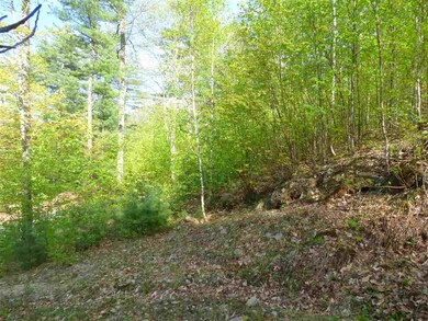 35 Cumberland Rd, Gilford, NH 03249 - photo 3