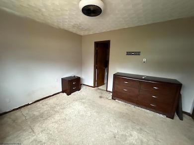 120 Kyle Subdivision Dr, Nettie, WV 26681 - photo 7