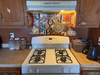 1305 N Silver St, Truth Or Consequences, NM 87901 - photo 6