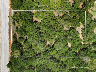 12103 Oak Dale Dr, Whitney, TX 76692 - photo 3