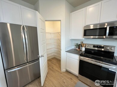 3800 Pinnacles Ct, Evans, CO 80620 - photo 4