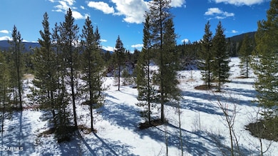 1154 Gcr 5002 Aka Moose Run Ln, Fraser, CO 80442 - photo 3