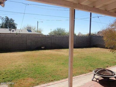 ruth back yard 3