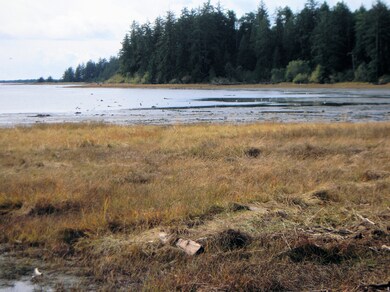 Nearby Nehalem Bay
