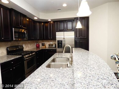 24646 Hutchinson Farm Rd, Chantilly, VA 20152 - photo 4