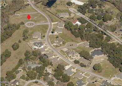 364 Cattail Cove aerial 1.1