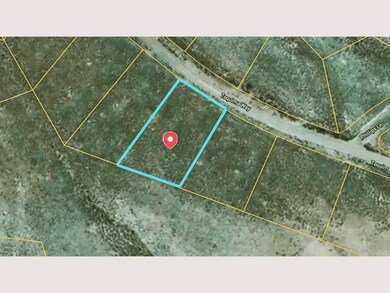 110 Toquima Way, Austin, NV 89310 - photo 2