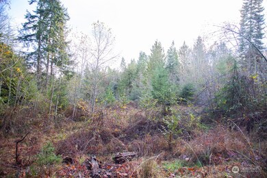 702 Chelsamish Dr, Sequim, WA 98382 - photo 6