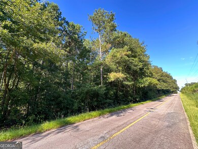 0 High Falls Rd unit 10592774, Jackson, GA 30233 - photo 6