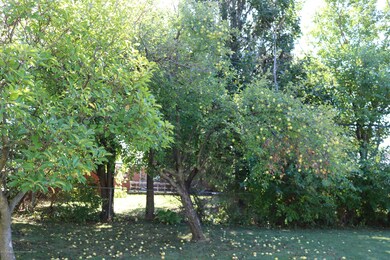 3517 Pickwick Place, Lansing, MI 48917 - photo 5