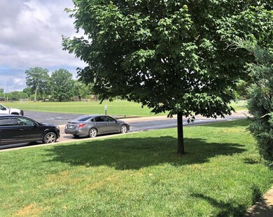 Front Yard & Park Across Street