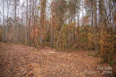 00 McCurry Farm Ln unit D, Lincolnton, NC 28092 - photo 7