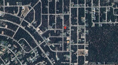 6251 N Walter Terrace, Pine Ridge, FL 34434 - photo 6