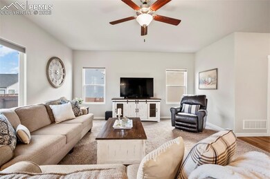 Views from the family room!