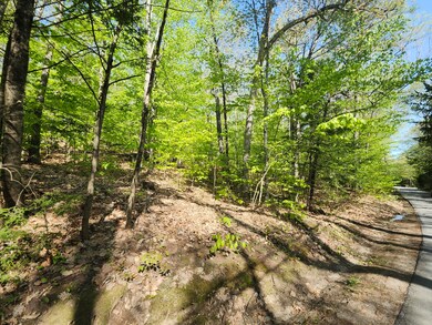Lot #006 Trickey Pond Rd, Naples, ME 04055 - photo 7