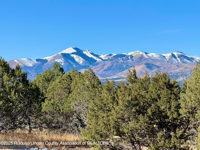 103 Cochiti Ct, Alto, NM 88312 - photo 5