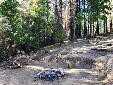 Fire pit area, perfect for s'mores and storytellin