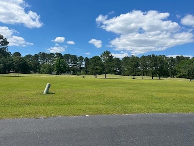 10 N Lake Cir, Manning, SC 29102 - photo 2