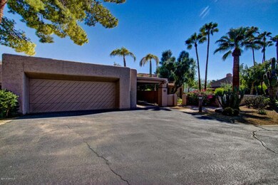Camelback  #11 (6)