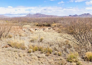 CF8M+9MM Douglas unit Arizona USA, Douglas, AZ 85607 - photo 6