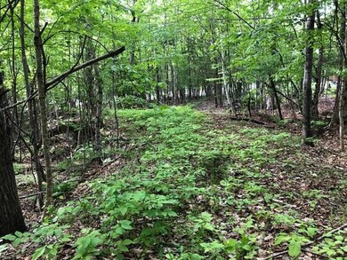 Backard Road 10