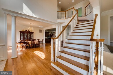 16655 Chestnut Overlook Dr, Purcellville, VA 20132 - photo 5