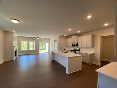 7538 Snow Cone Way, Ooltewah, TN 37363 - photo 6