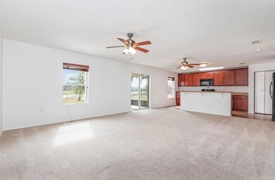 221 Star Shell Dr, Apollo Beach, FL 33572 - photo 5
