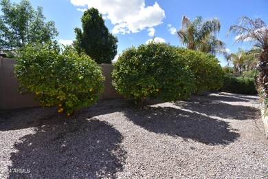 Citrus