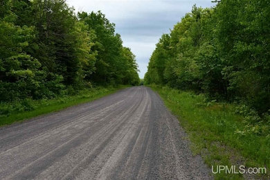 TBD Mud Lake Rd, Lake Linden, MI 49945 - photo 3