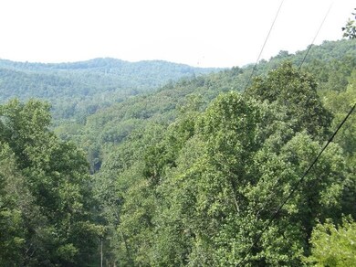 0 Albert Baker Rd, Somerset, KY 42501 - photo 6