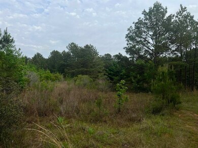 29 AC Cr 3321 unit Talley Road, Longview, TX 75602 - photo 7