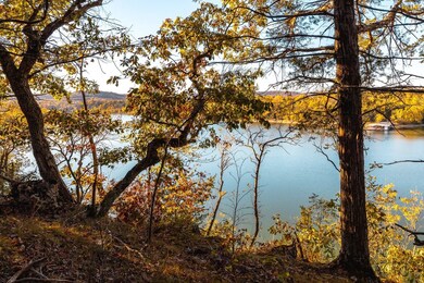 18682 E Eagle Rock Beach Dr, Roaring River Township, MO 65641 - photo 6