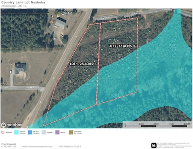 0 Country Ln, Philadelphia, MS 39350 - photo 4