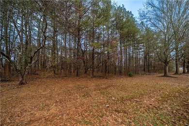 0 Fire Tower Rd NW unit 7690291, Euharlee, GA 30120 - photo 4