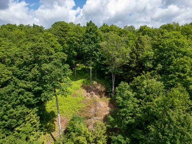 0 Center Fayston Rd, Waitsfield, VT 05673 - photo 5